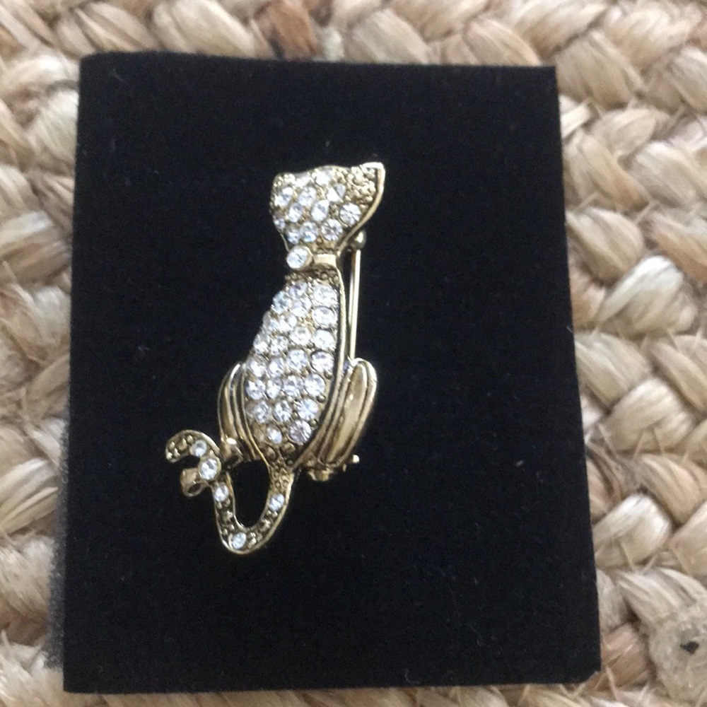 Vintage Crystal Cat Pin by Nina Ricci (From AVON)
